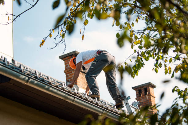 Best Roof Maintenance Services  in Manvel, TX