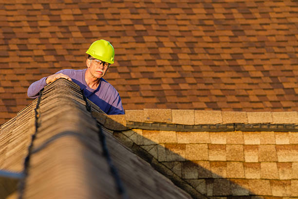 Best Roof Maintenance Services  in Manvel, TX